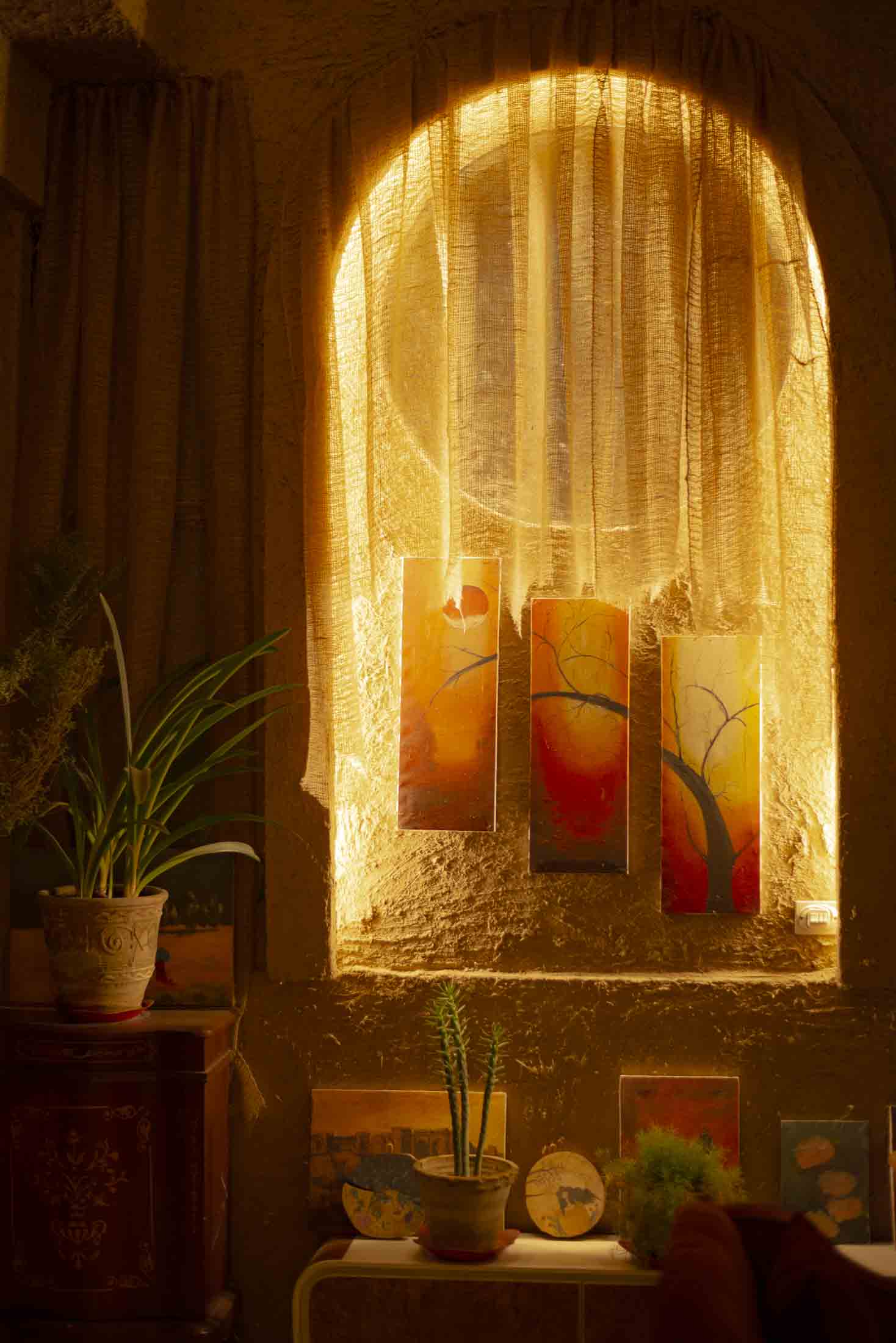 Zarnigar Indoor Garden